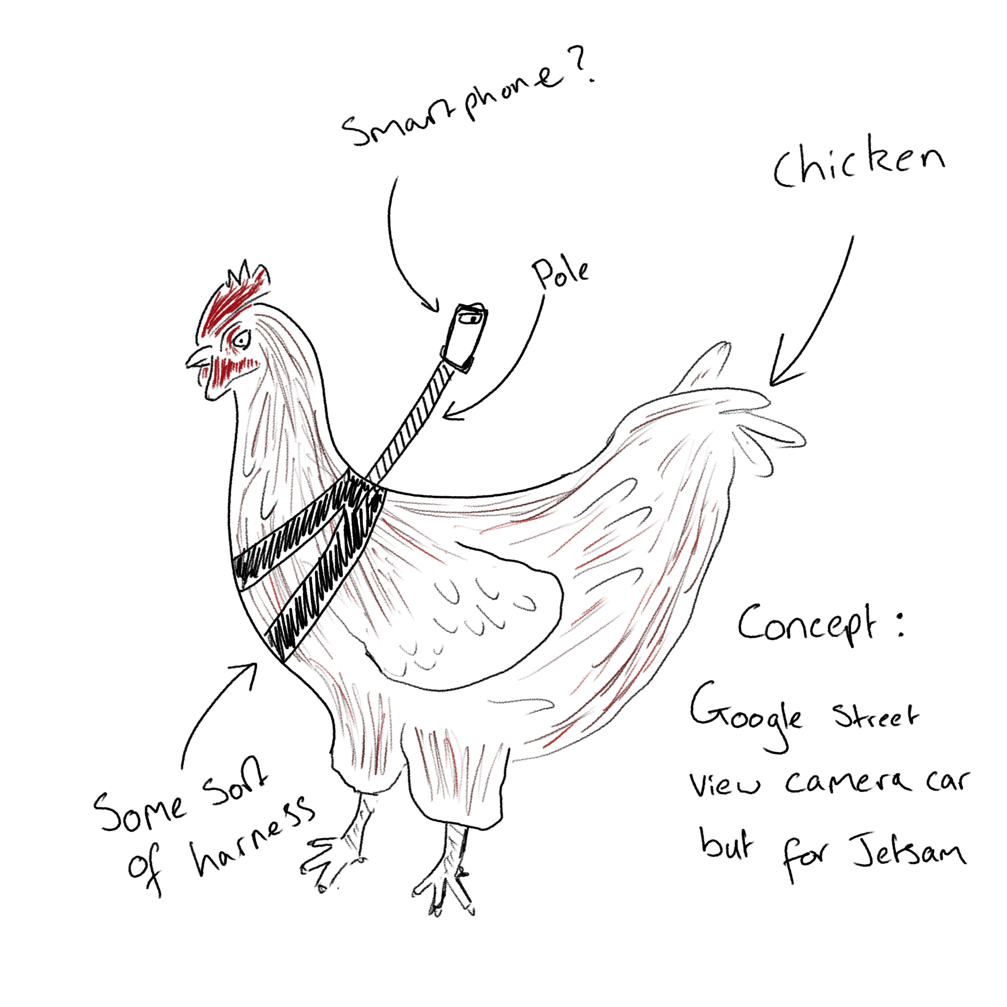 Idea 3, a chicken with a phone strapped to it